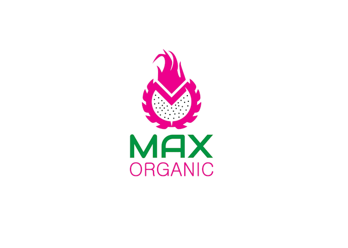 create professional and unique fruit logo design