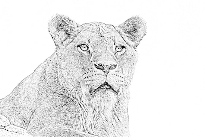 do custom pencil sketch art any images