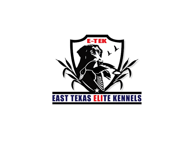 create amazing dog logo design with express delivery