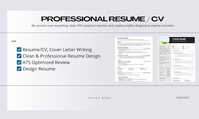 make professional cv or resume