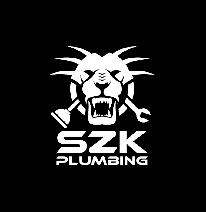 make shining established plumbing logo
