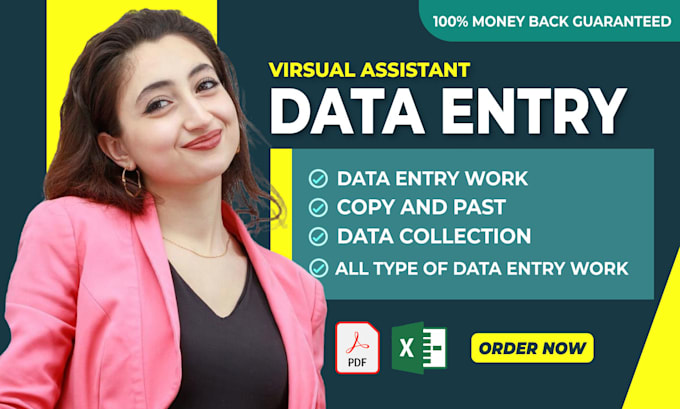 provide financial data entry, exele data entry typing work, and virtual ass