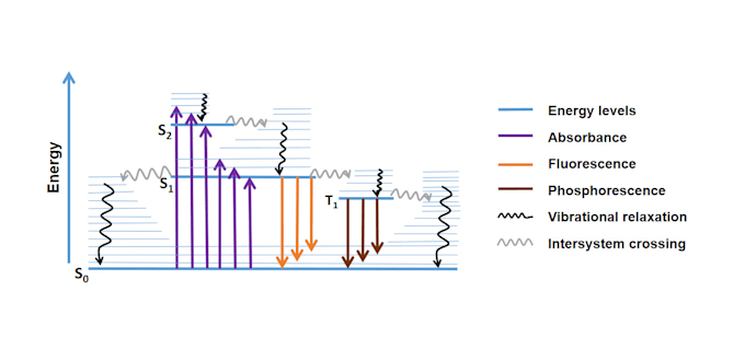 create scientific graphic abstracts and figures