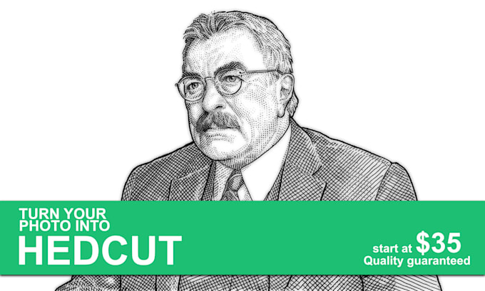 turn a picture into hedcut