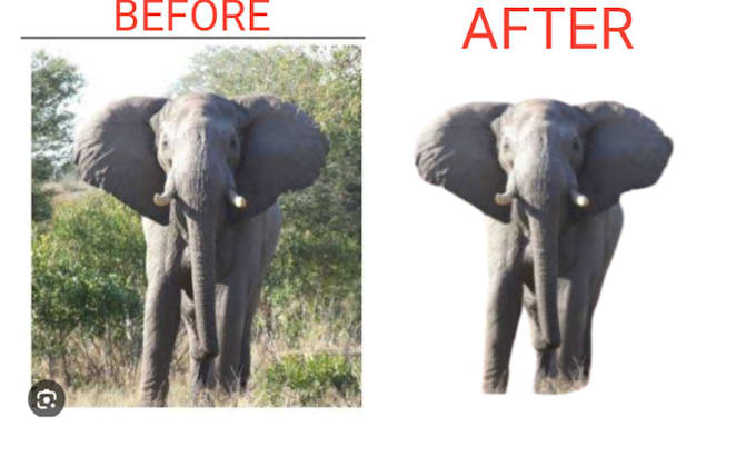 do photo cut out background removal deep etch product images and remove bg