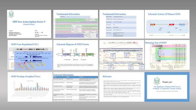 make professional research presentations with stunning visuals
