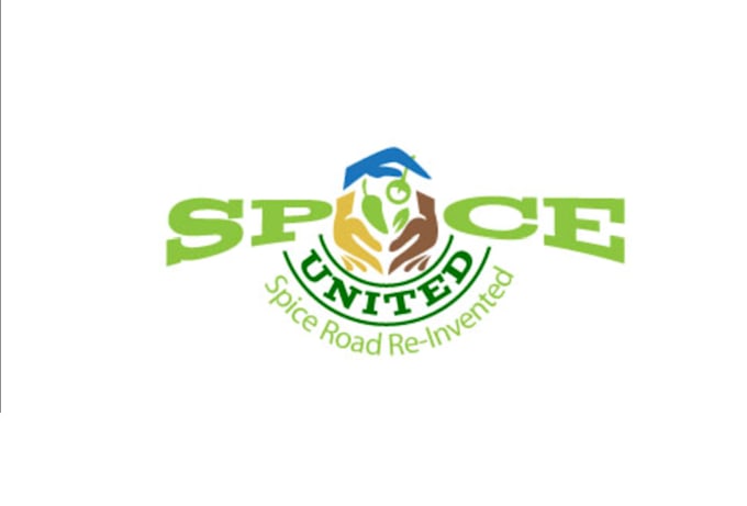 custom spice logo design to elevate your brand