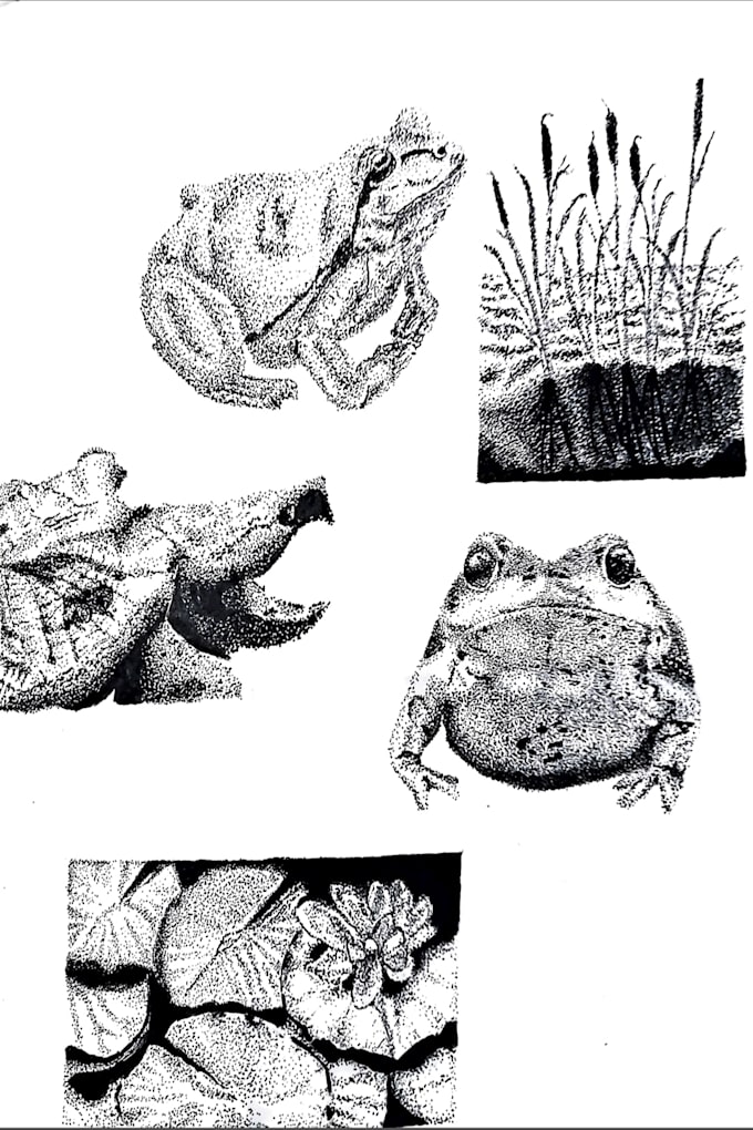 create stippling and line art
