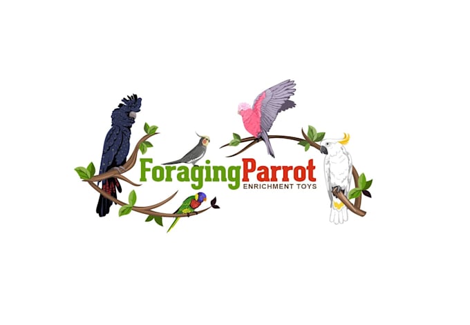 create a winning parrot toy range logo design