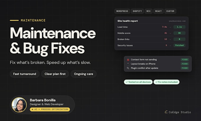 fix website errors, improve speed and keep your site secure