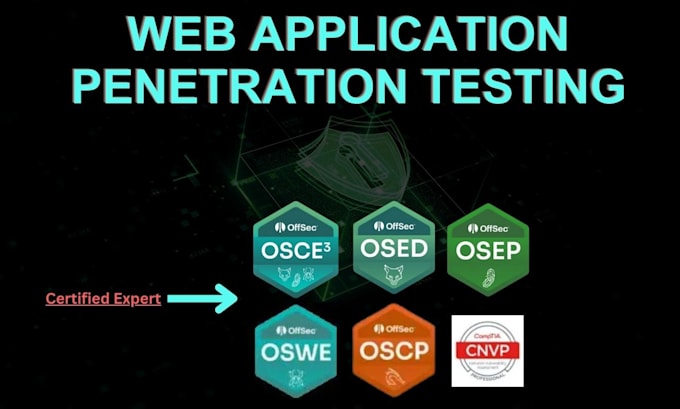 perform web application penetration testing