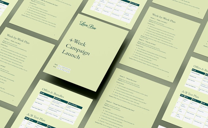 provide creative direction for brand and campaign visuals