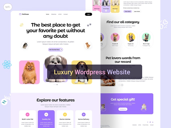 develop a professional wordpress website for your business
