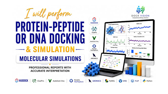 help you in protein peptide, dna docking and md simulation