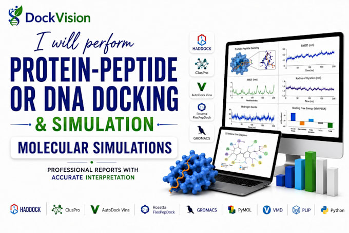 help you in protein peptide, dna docking and md simulation