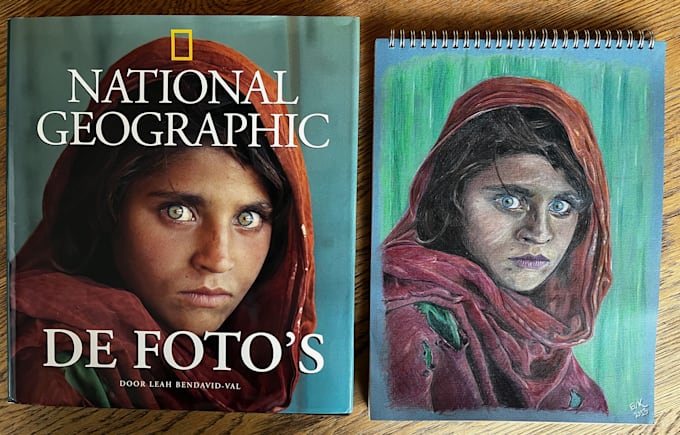 make a beautiful pencil illustration