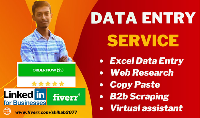 data entry ninja quick, accurate, and reliable