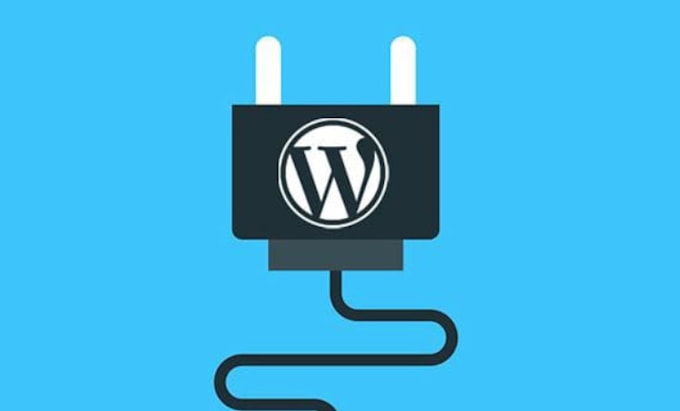 do wordpress plugins customization and plugin development