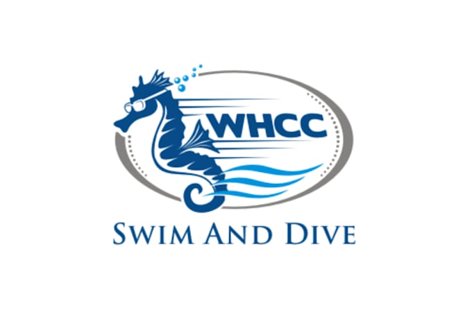 design swim company word mark logo