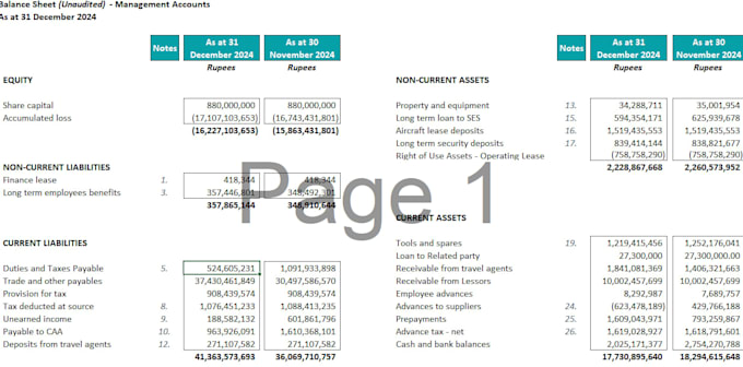provide financial and auditing services and data entry