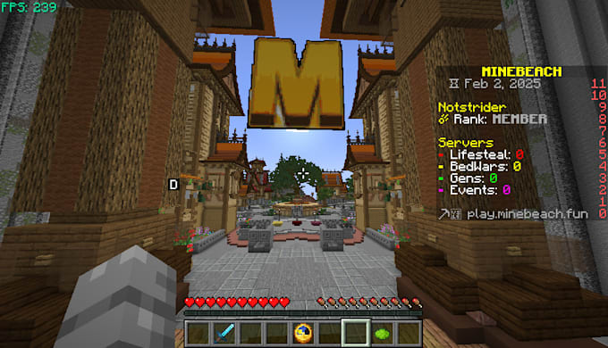 develop and config your minecraft server