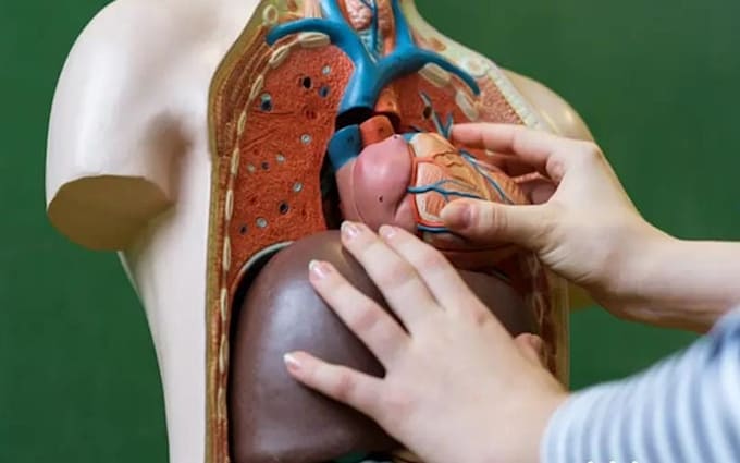 help in biology anatomy physiology histology biochemistry chemistry