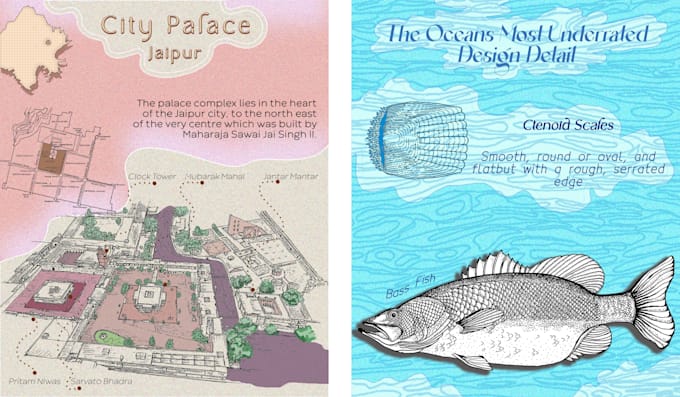 create educational infographic illustrations