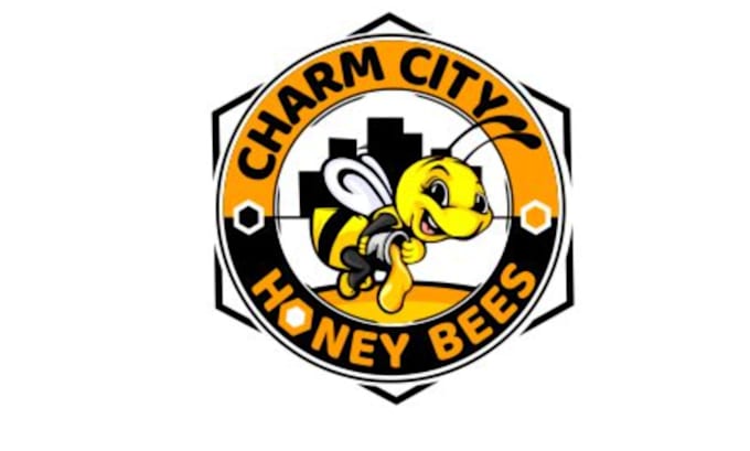 unique eye catching honey bee logo