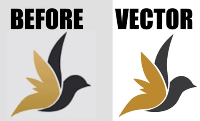 do photo editing, trace vector files, graphic design