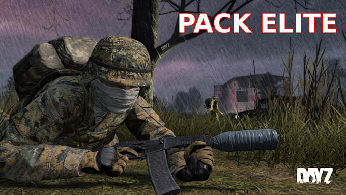 set up your dayz server for consoles and PC elite pack