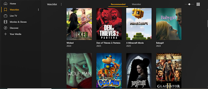 set up your plex media server, jellyfin, emby, sonarr, radarr , plex server