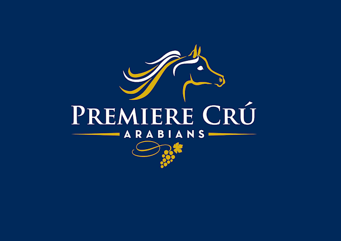 design arabians show horse logo