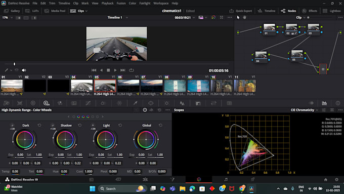 Do professional color grading with cinematic looks by Kai_filmworks ...