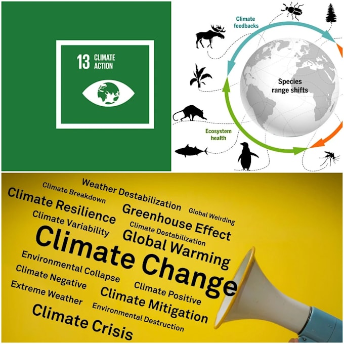 research on climate change, biodiversity and environmental issues, science