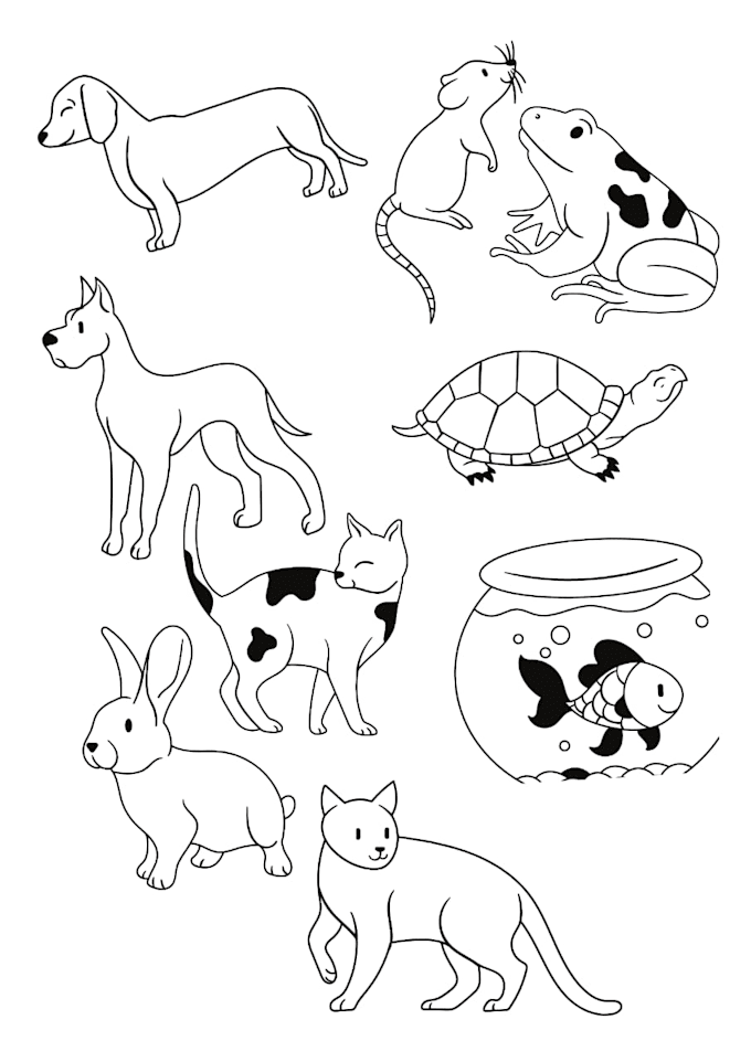 draw colouring book and activity pages for kids