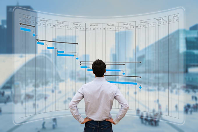 plan, structure, and manage your project professionally