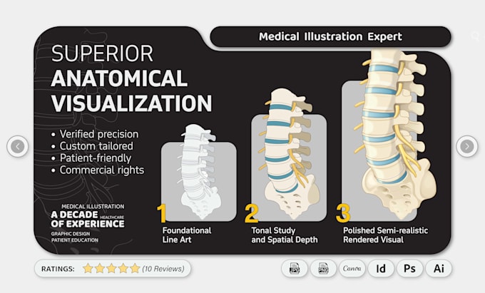create vector medical illustration for education, healthcare and publishing