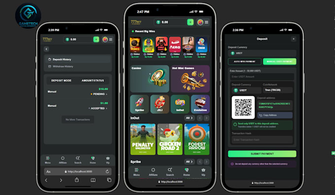 develop crypto igaming software similar to stake, bcgame with slot, crash api