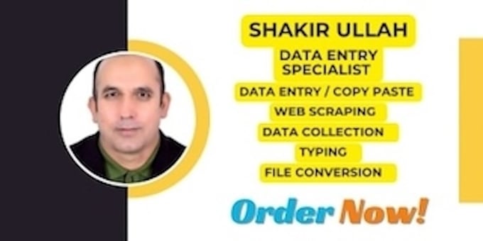 handle accurate and professional virtual data entry