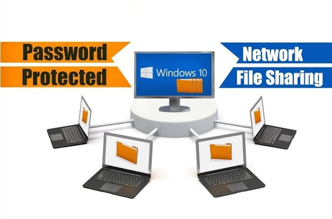 expert network file sharing services