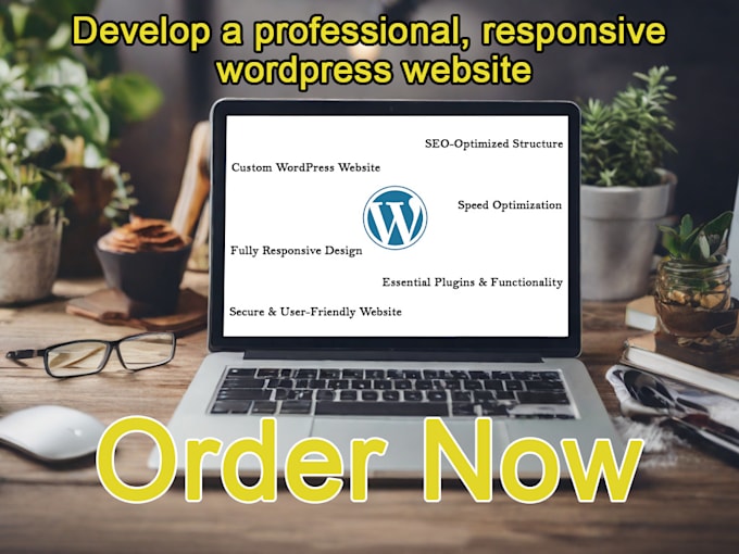 develop a professional, responsive wordpress website