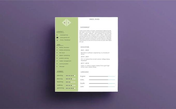 create professional ats friendly CV or resume to boost job succes