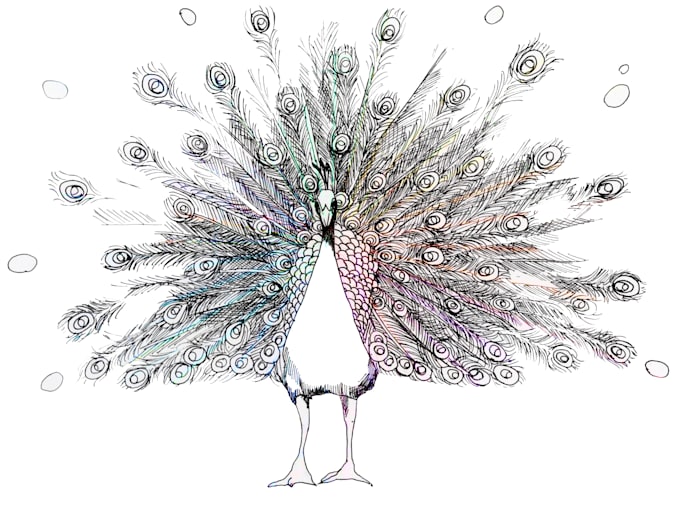 create a hand drawn illustration