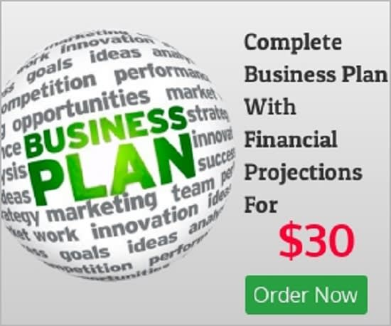 write an Investor ready Business Plan from scratch