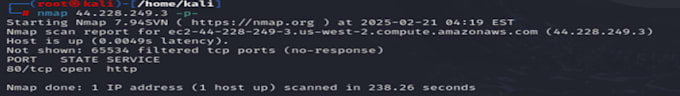 use nmap for network scanning and network traffic analysis
