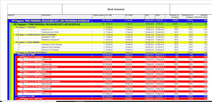 make a project schedule for you on p6 or excel