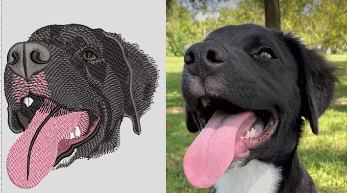 digitize your pet in one an hour