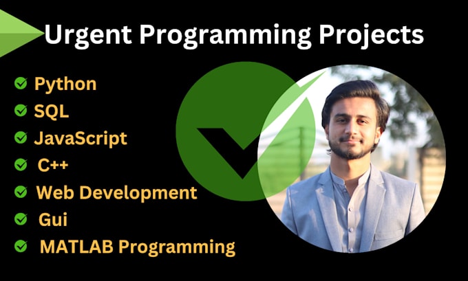 develop custom software and web apps using python c pp java sql