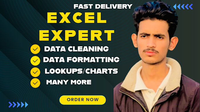 do excel data cleaning,formatting,data cleanup or csv files