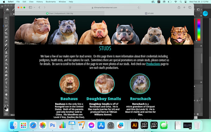 design your new website